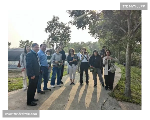 智利天主教大学引入情绪识别技术提升心理辅导效果 智利天主教大学引入情绪识别技术提升心理辅导效果